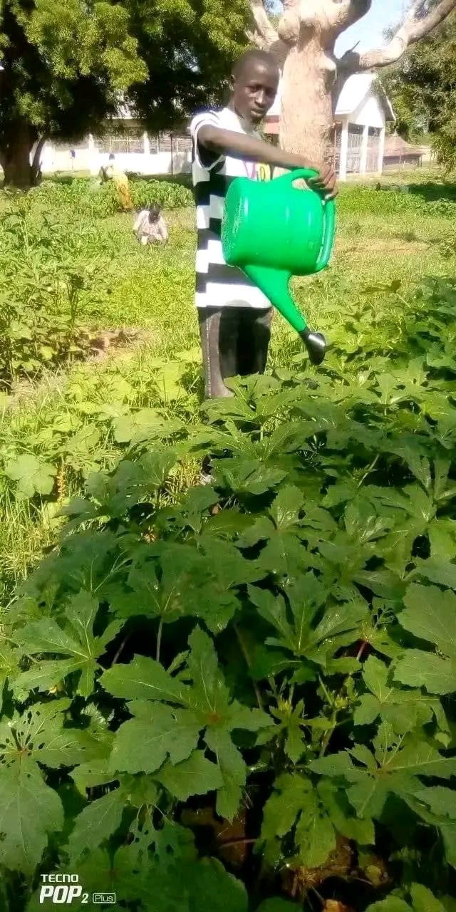 Agriculture in South Sudan