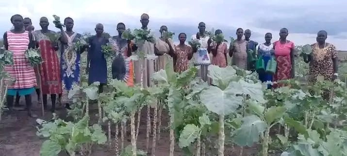 Community Development