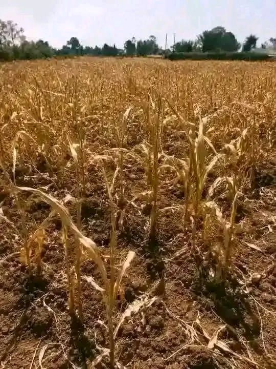 Training